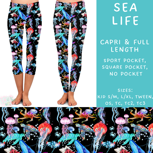 Ready to Ship - Sea Life Capri - Square Pocket